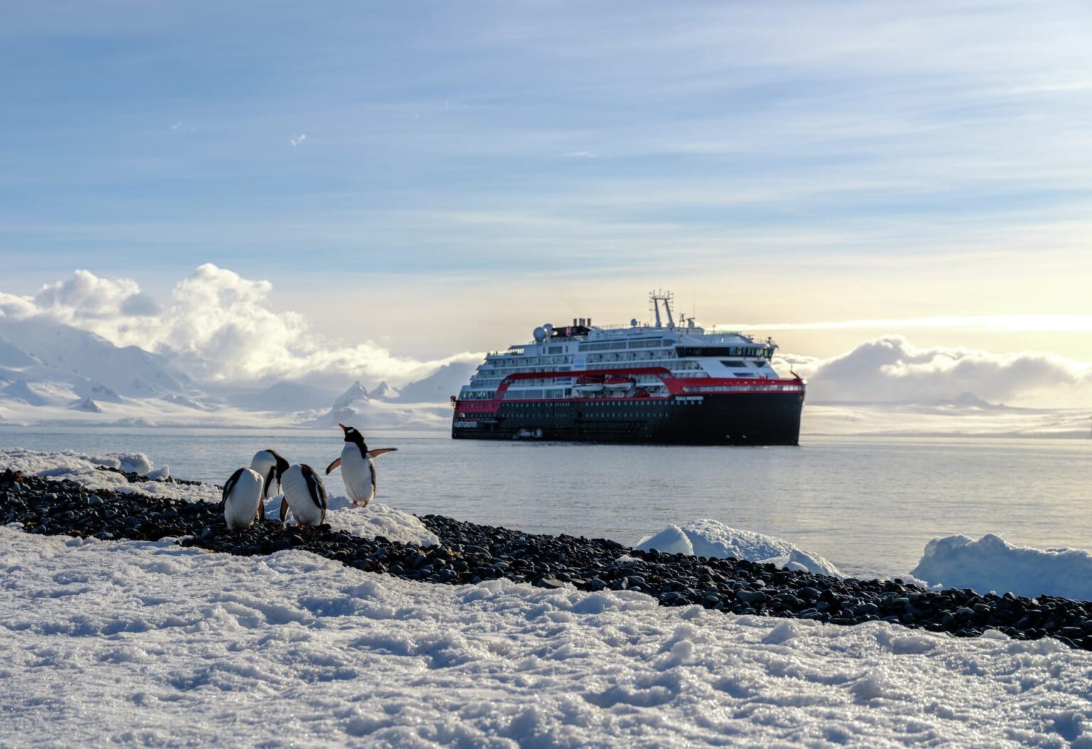 Penguins, seals and whales galore in Antarctica from as little as $666 per day