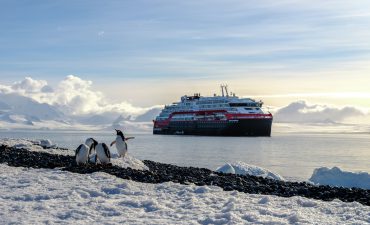 Penguins, seals and whales galore in Antarctica from as little as $666 per day