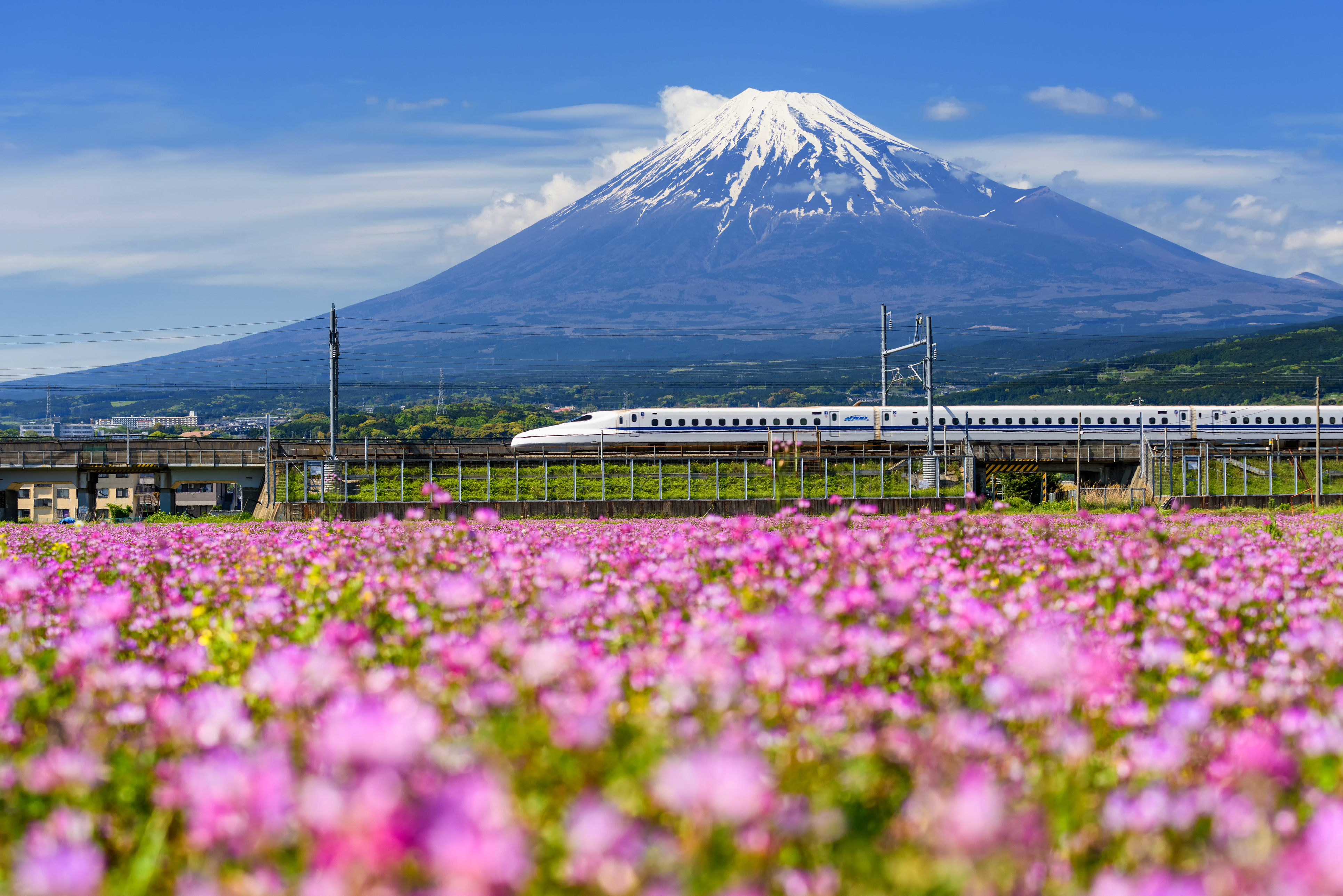 iStock 909110518 1
