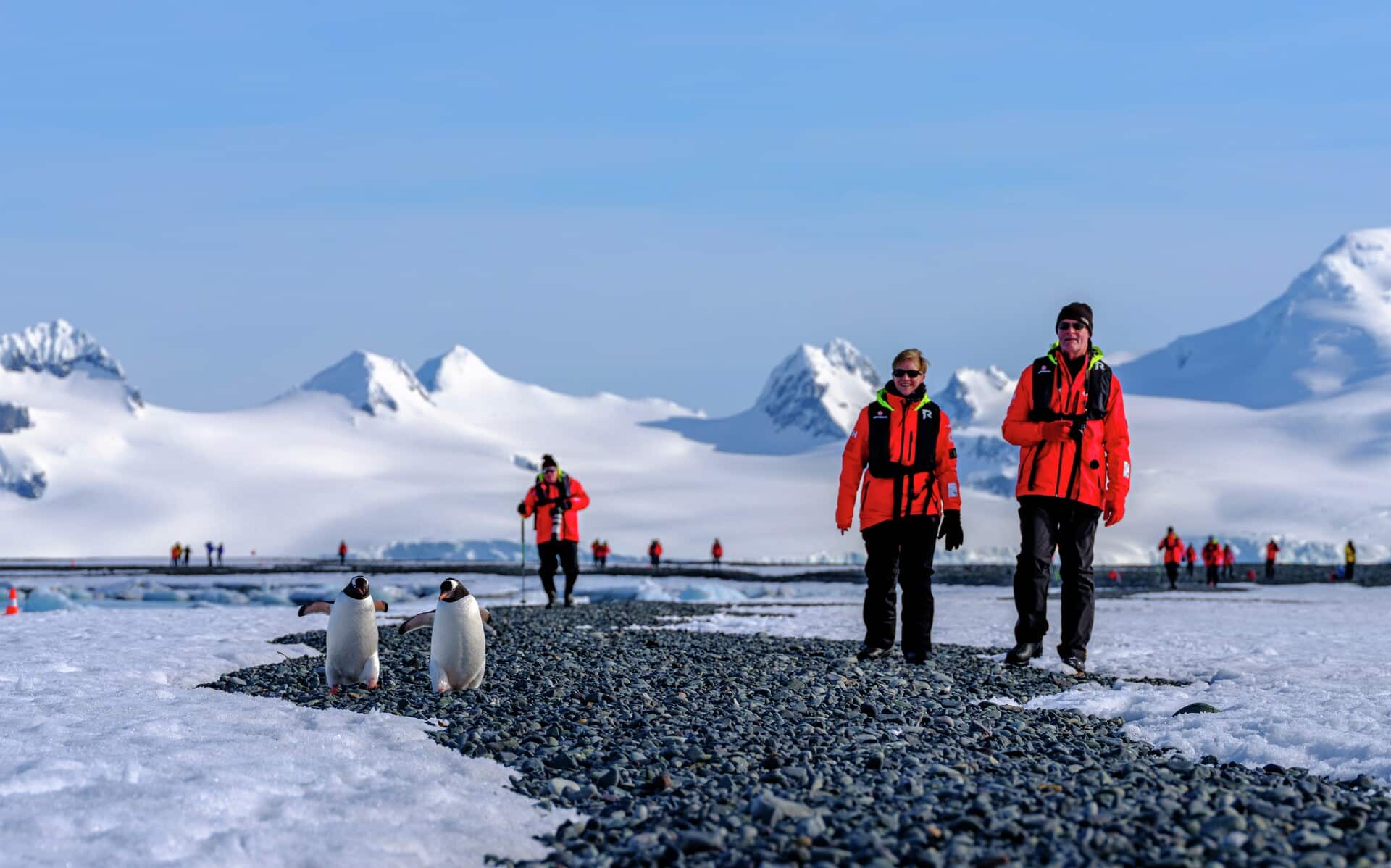 Landing MS Roald Amundsen HGR 142183 1920 Photo Dan Avila
