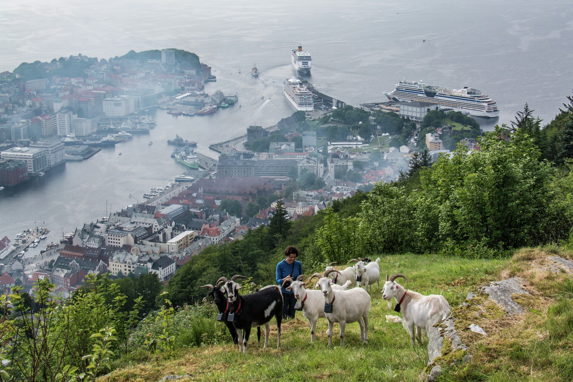 Floien Bergen Norway HGR 107413 1920 Photo Photo Competition