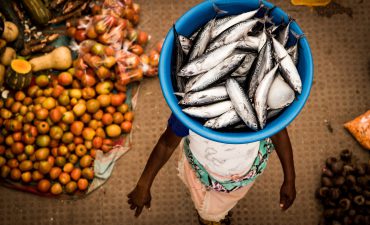 Hurtigruten Expeditions unveils exciting, new itineraries to the African West Coast next year