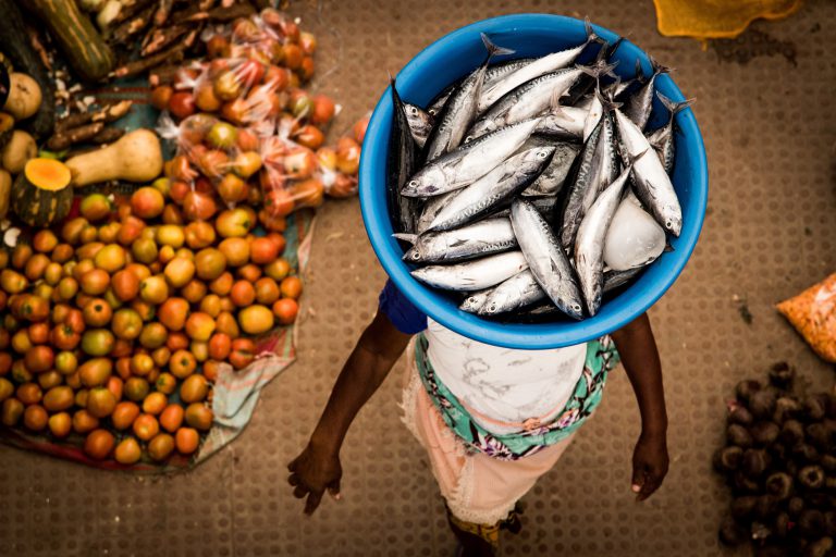 Hurtigruten Expeditions unveils exciting, new itineraries to the African West Coast next year