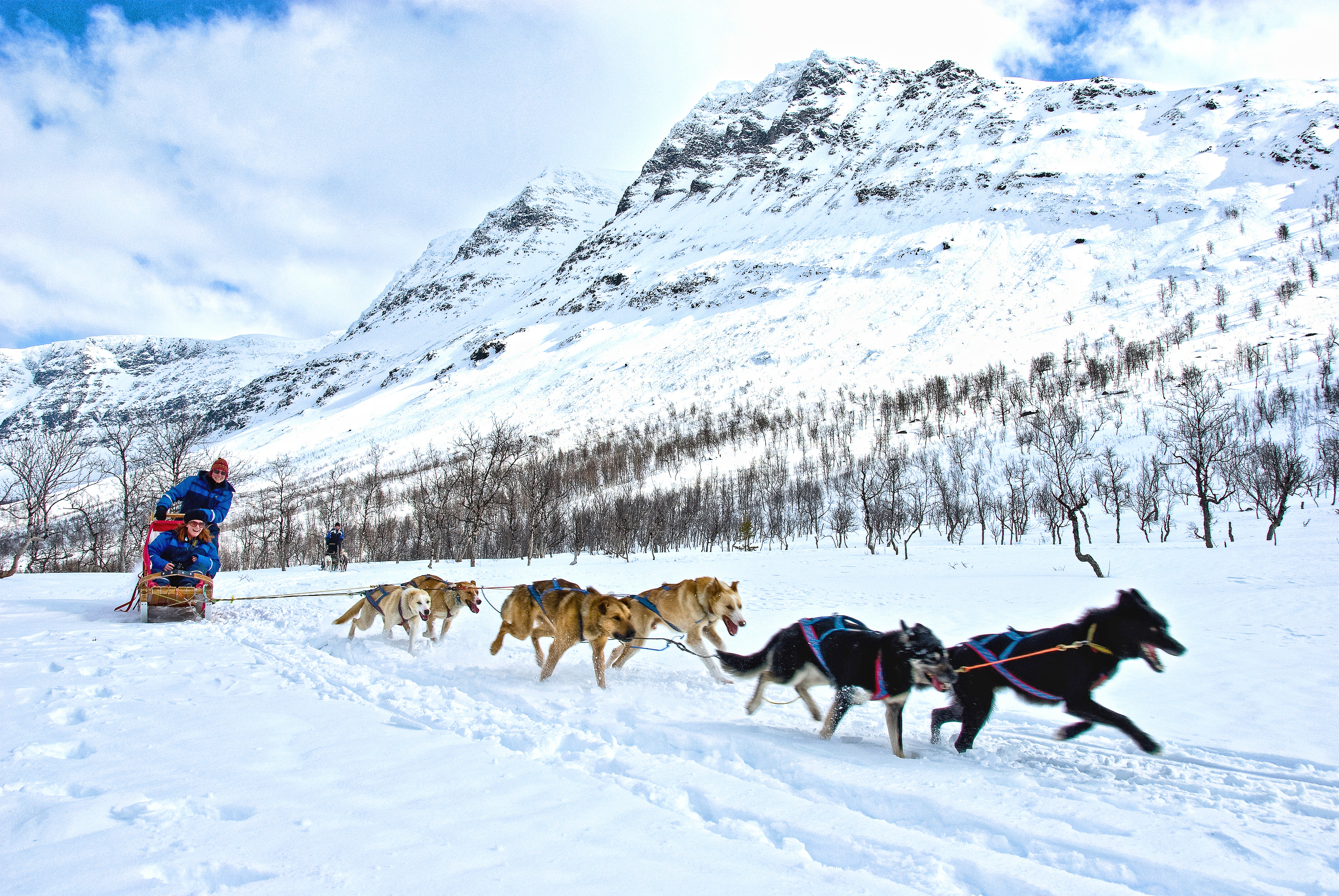 Dog sledding Tromso Norway HGR 47548