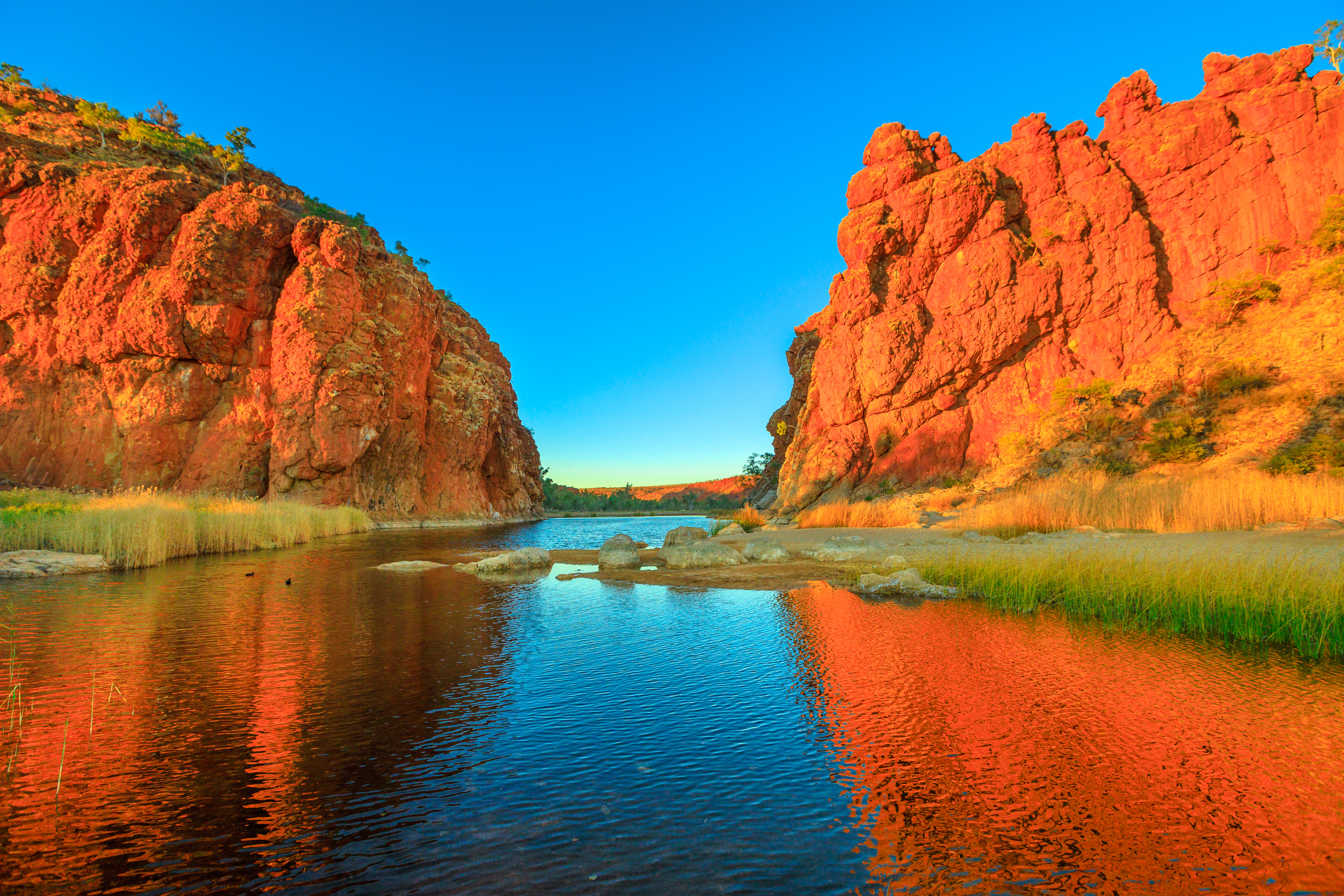 iStock 1190576160