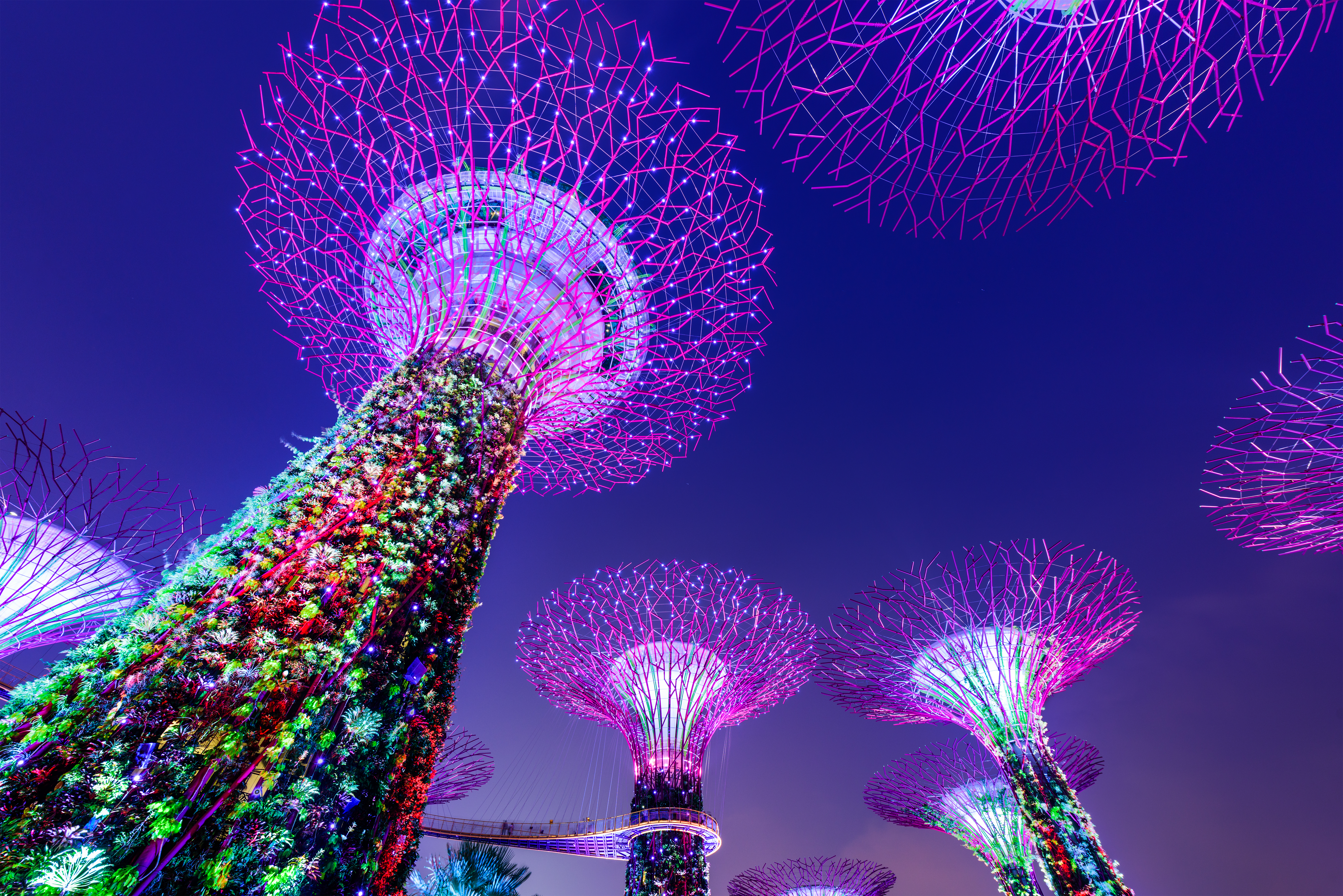 iStock 515069924