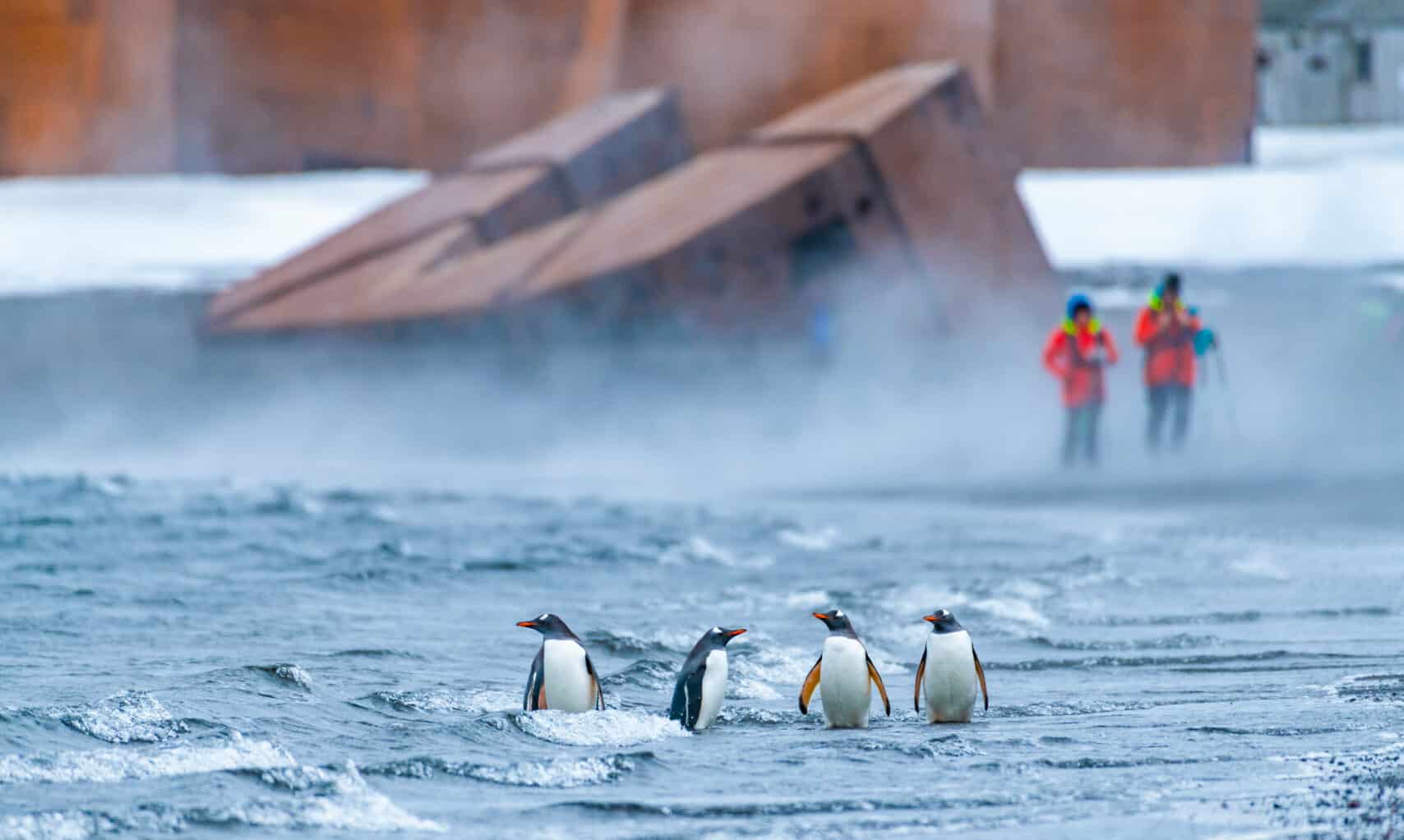 Holiday in Antarctica and the Falklands for 19 days for $14,490 including flights