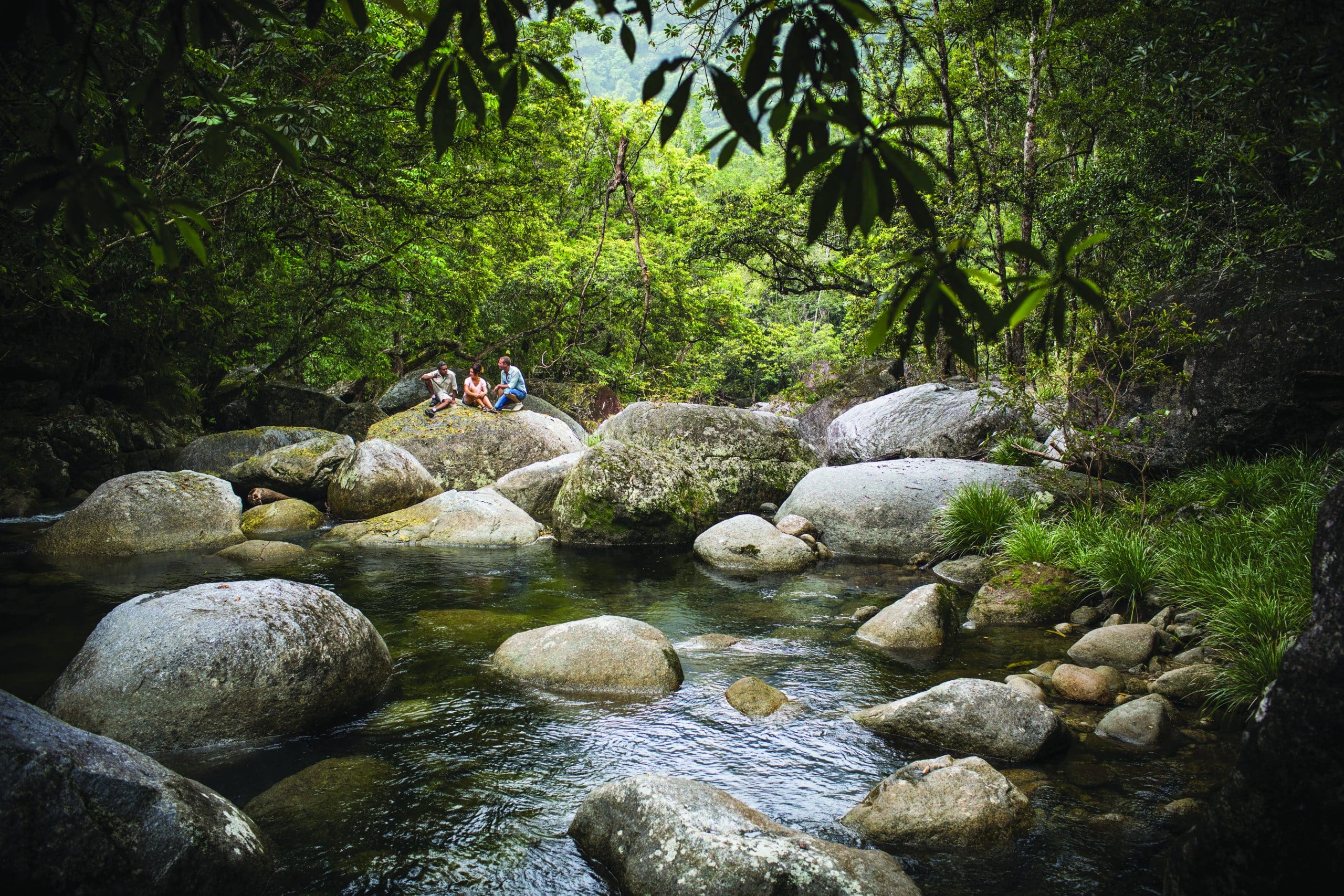 Retreat into the Daintree Rainforest's refurbished Silky Oaks Lodge