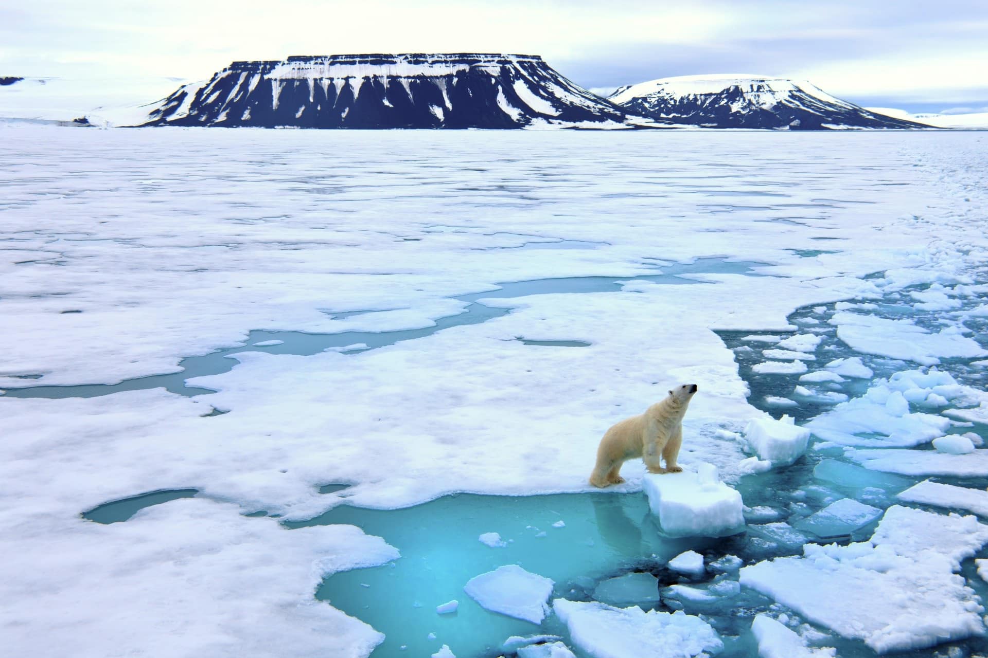 Svalbard Spitsbergen Svalbard HGR 143760 1920 Photo Getty Images