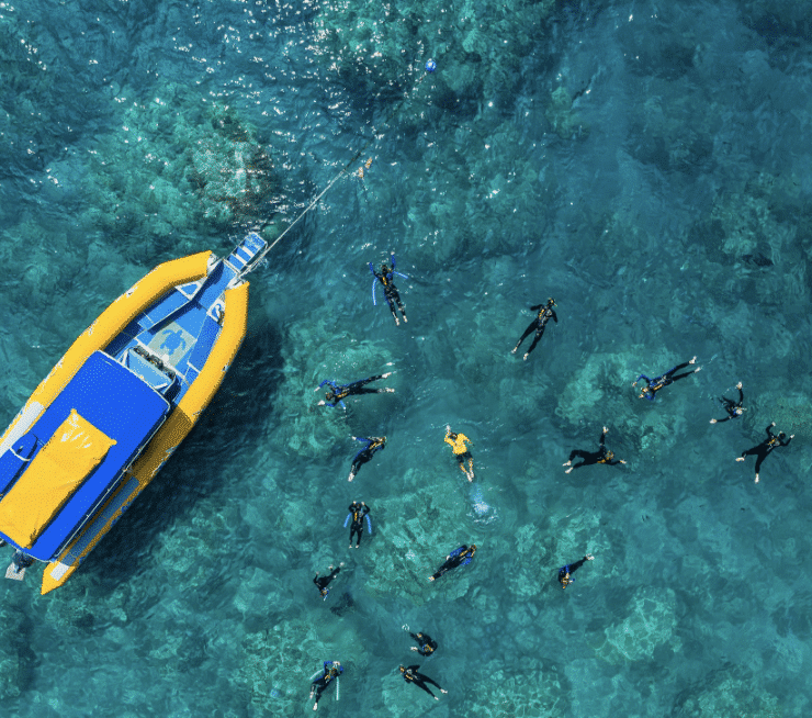 islands cruise