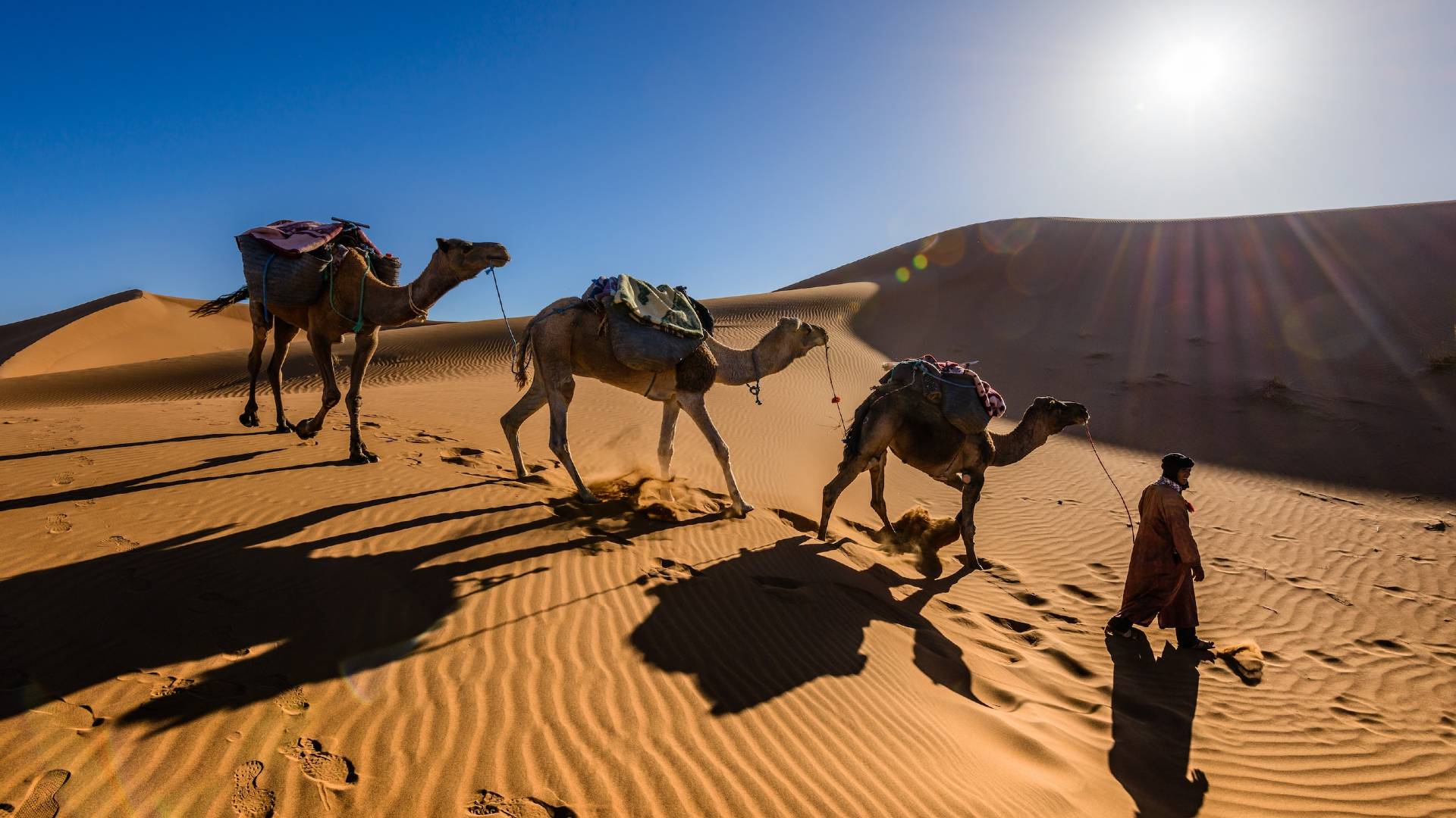 Rock the kasbah on a bespoke Morocco tour