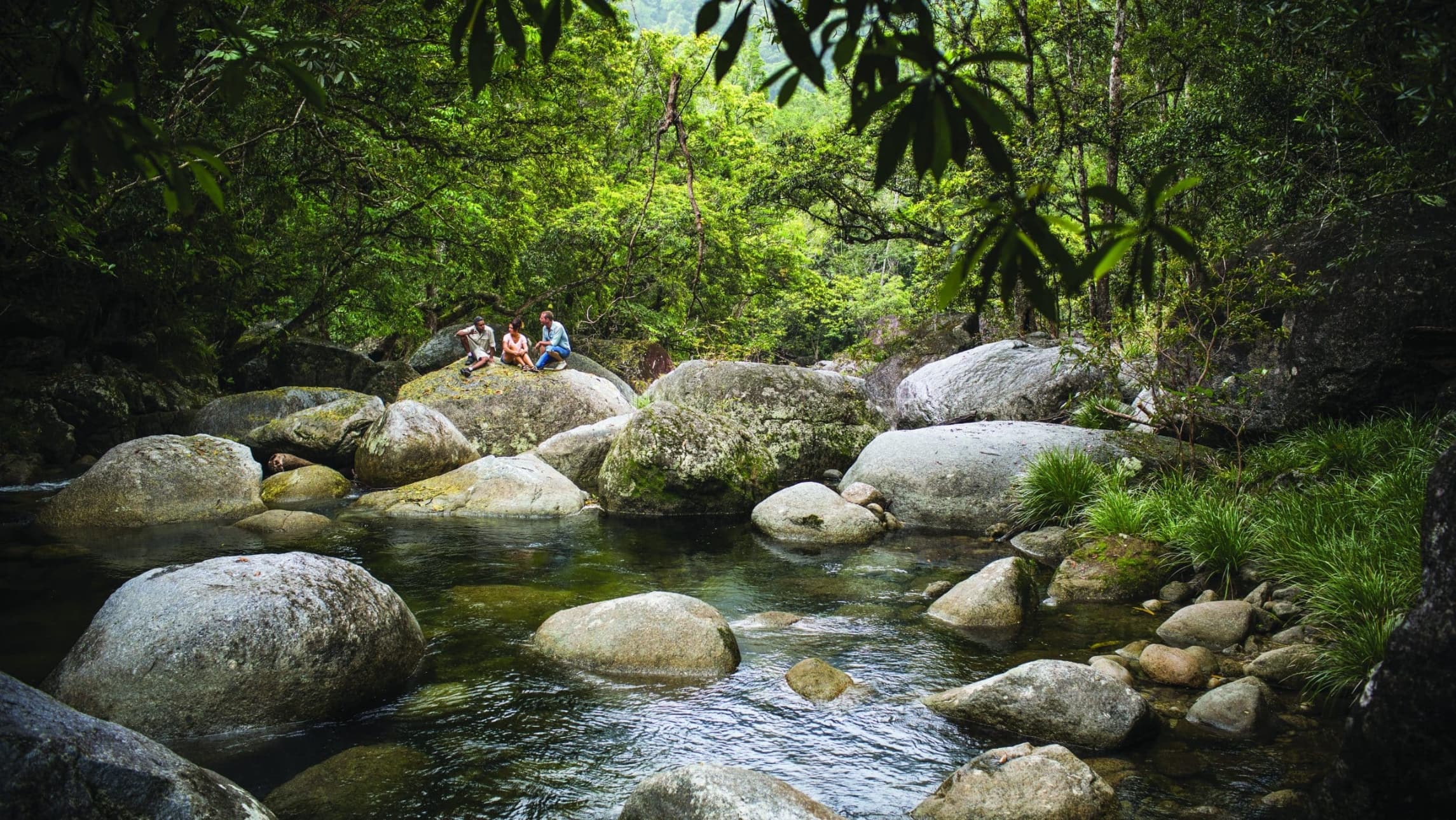 Retreat into the Daintree Rainforest's refurbished Silky Oaks Lodge