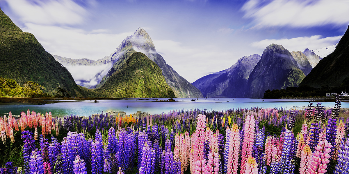 Go on a cruise holiday onboard Westerdam to New Zealand for as little as $119 per person per night saving up to $1300* per couple