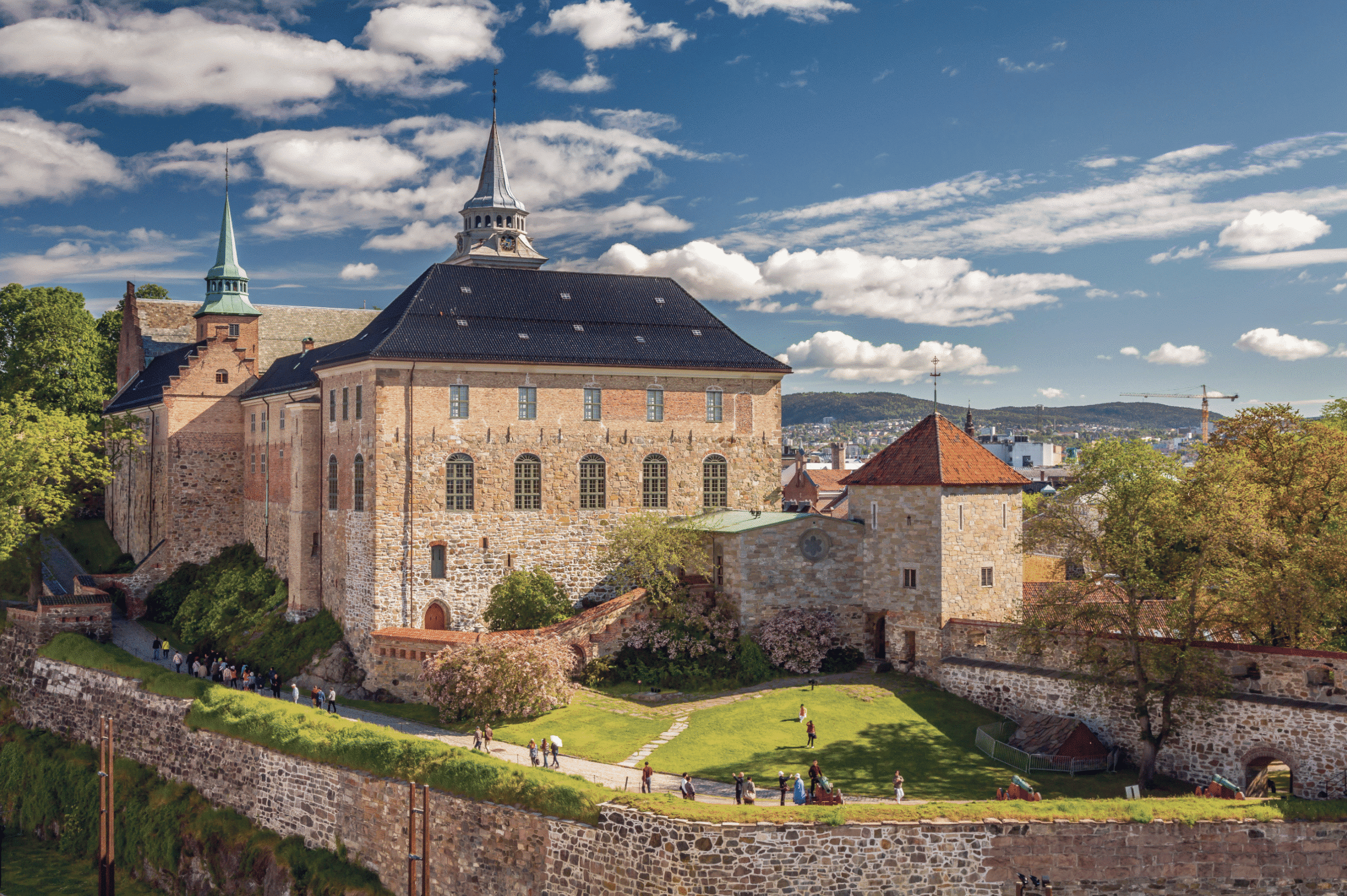 shore excursions
