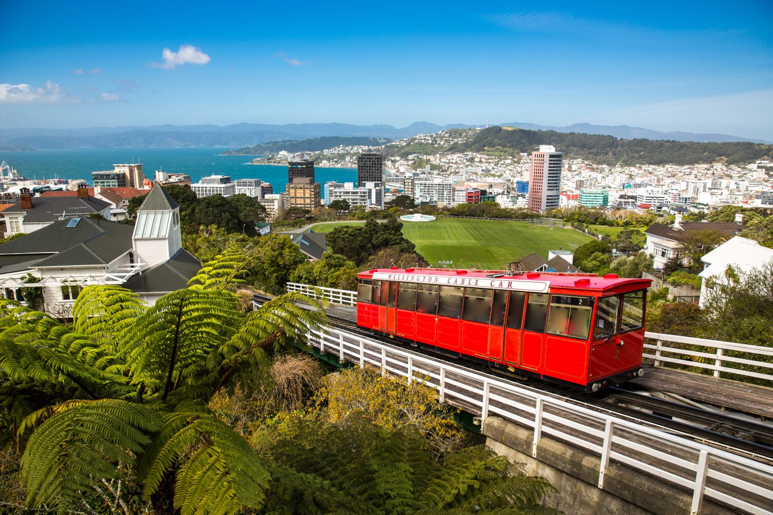 View of Wellington from the cable car