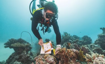 science at sea