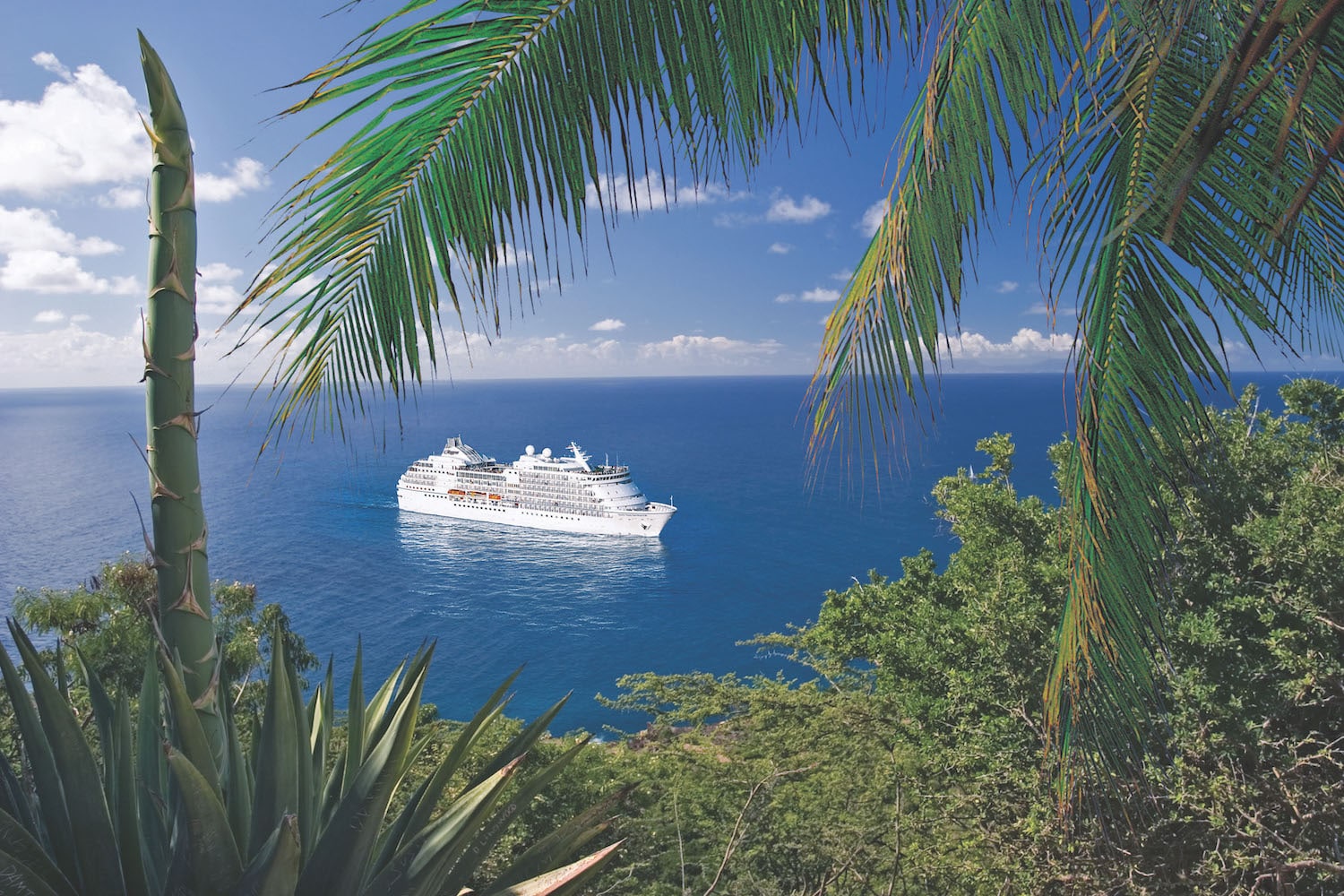 Caribbean