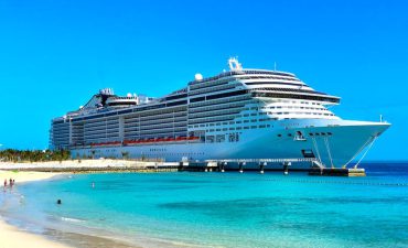 cruise statistics