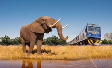 Elephant Rail and Train