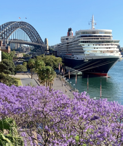 cunard harbour