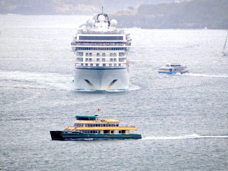 Lines promise compensation after three ships fall foul of New Zealand's tough bio security regulations