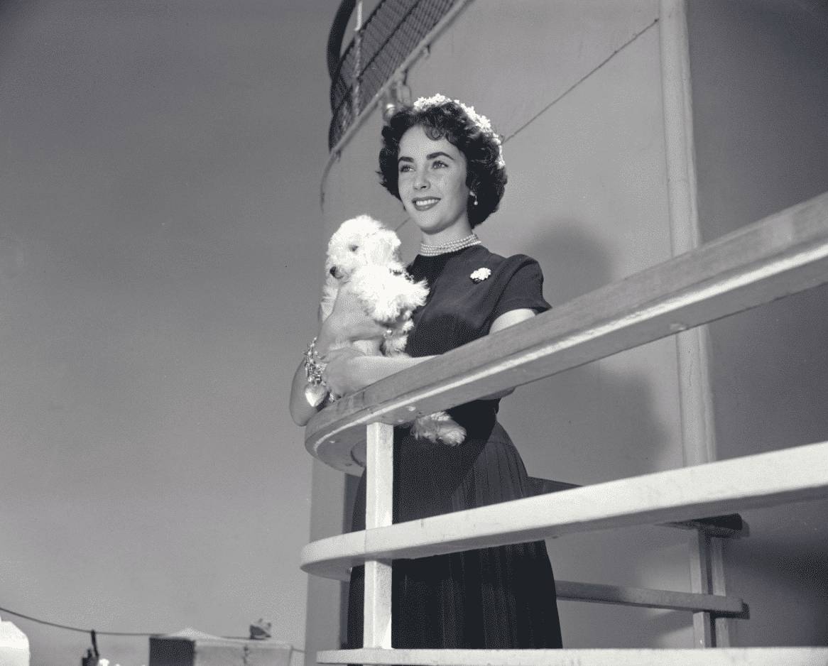 elizabeth taylor cunard