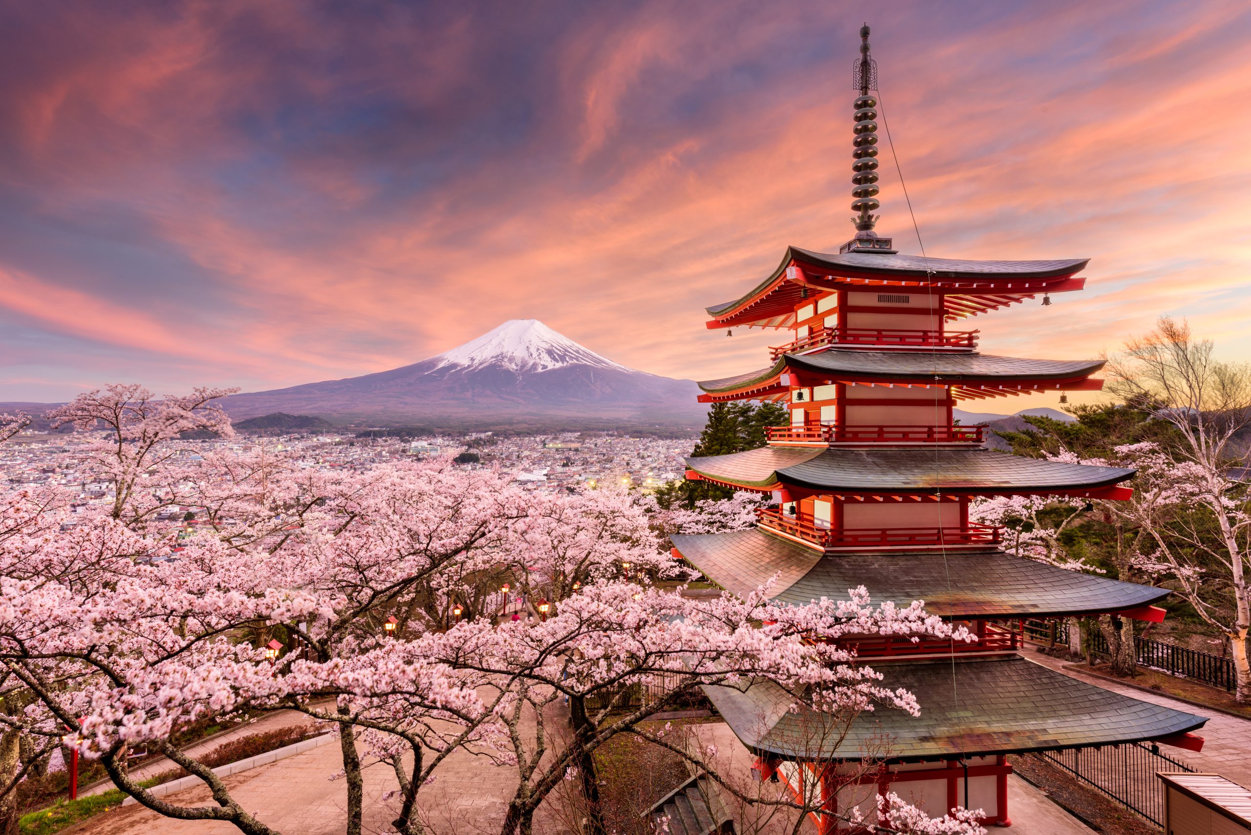 Watch wide-eyed at Japan's pink cherry blossoms with cruise and Mount Fuji tour from $333 per night
