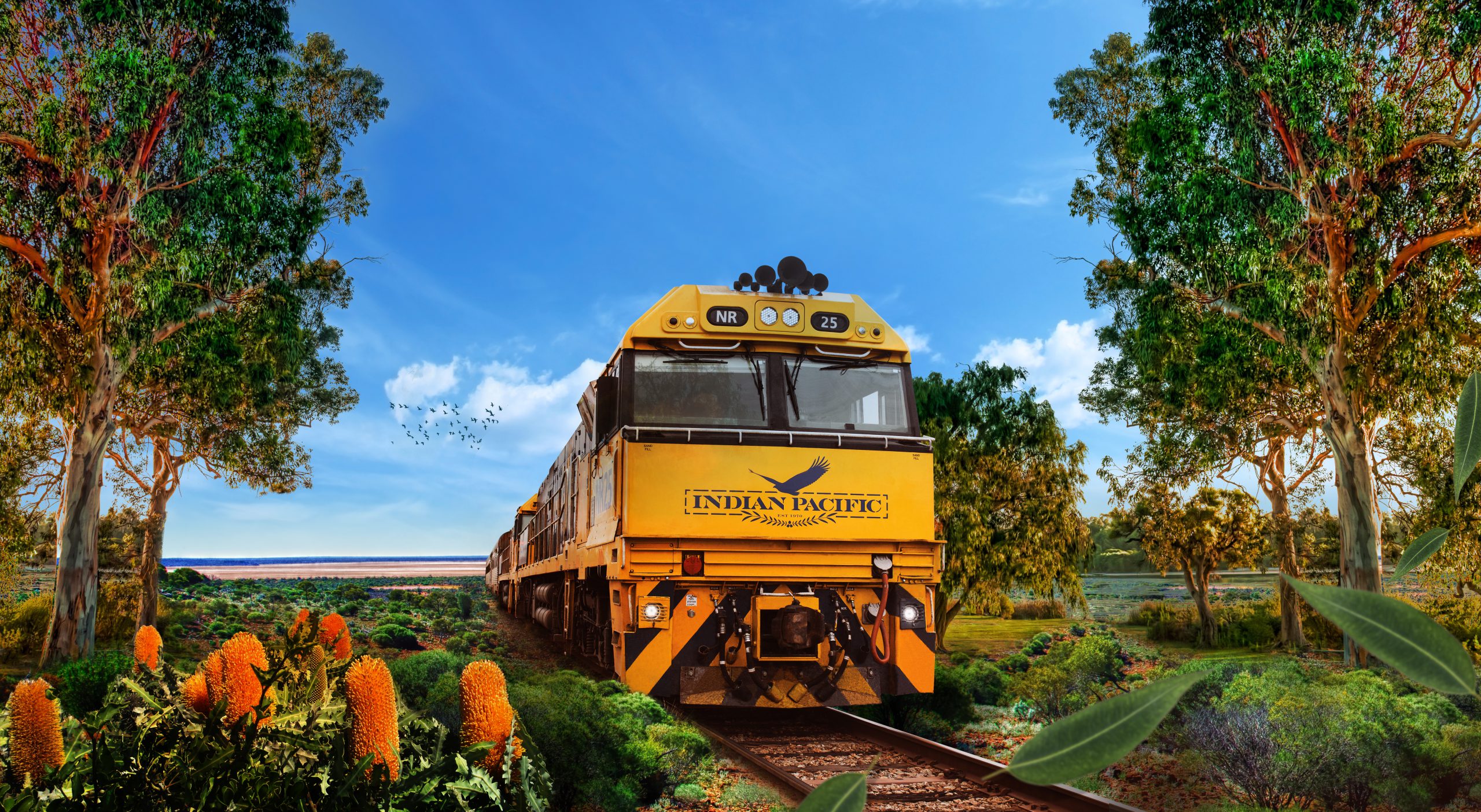 Combine a cruise on P&O's Pacific Explorer with iconic Indian Pacific rail journey including hotel stay in Perth from $4699 per person