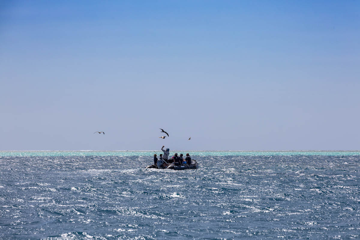 Ashmore Reef Snorkeling