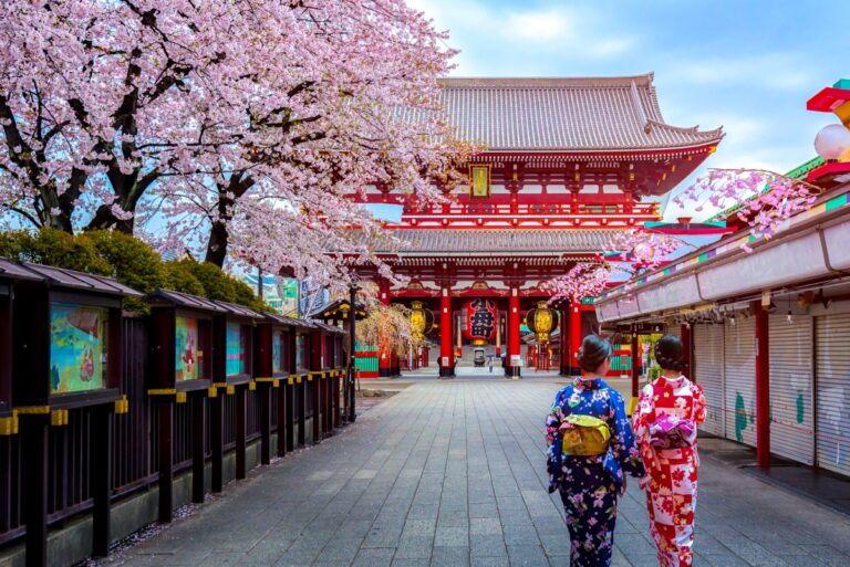 Japan's cherry blossom season