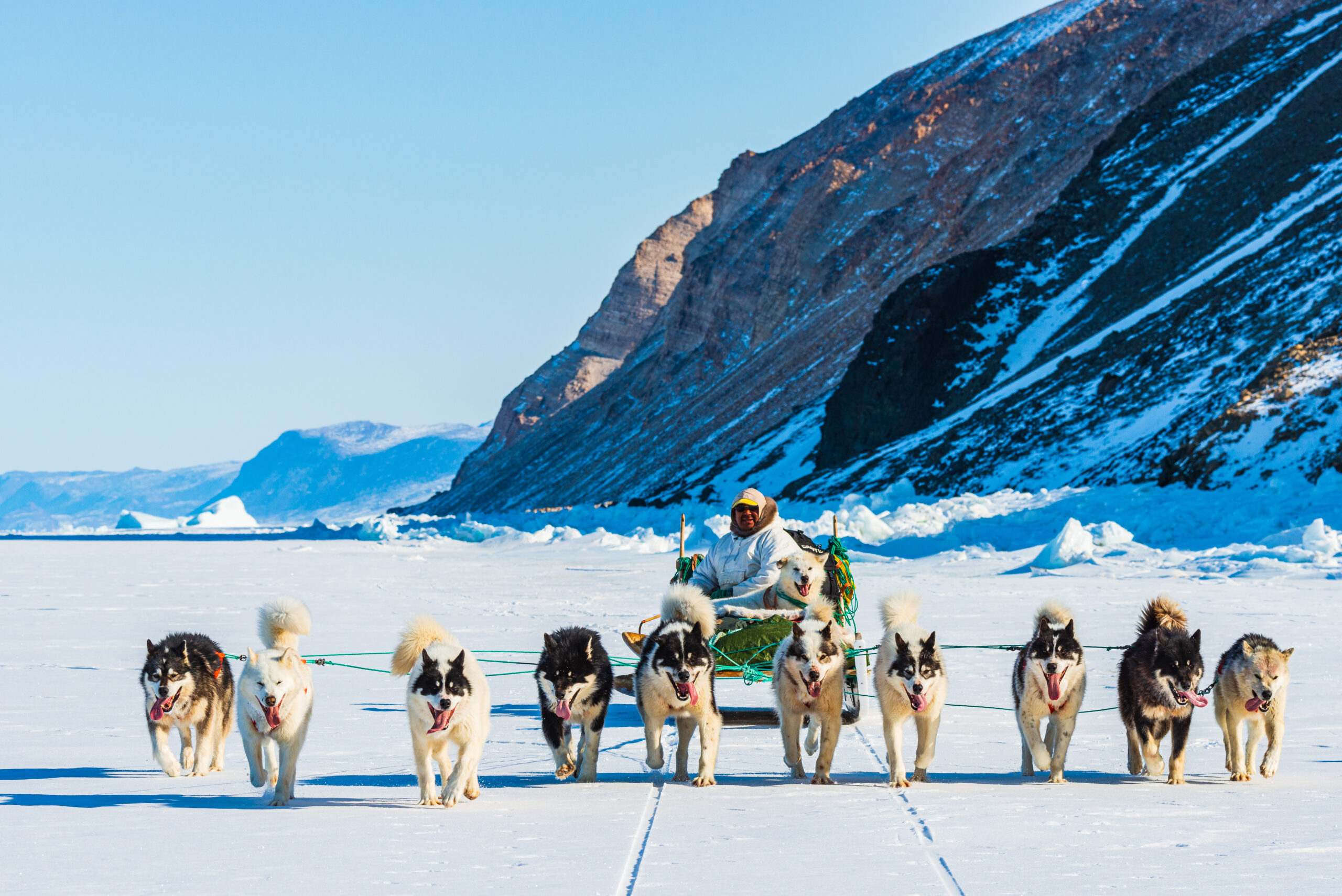 Musher and his dogs on a sled trip in Greenland
