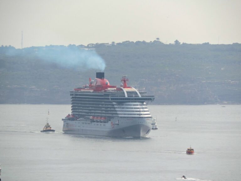 Resilient Lady comes into Sydney