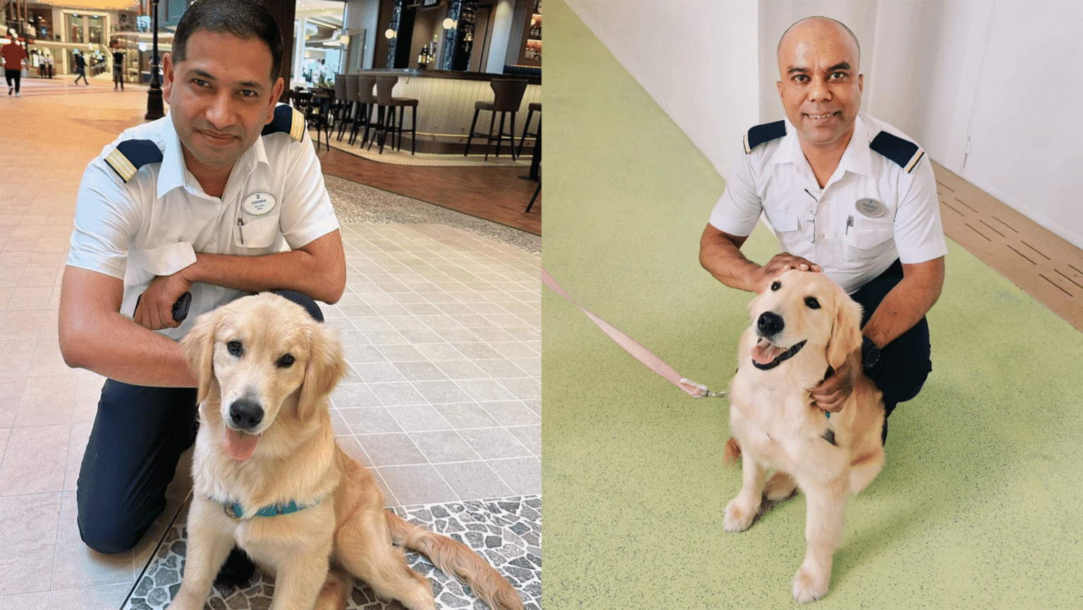 Rover the Icon of the Seas dog