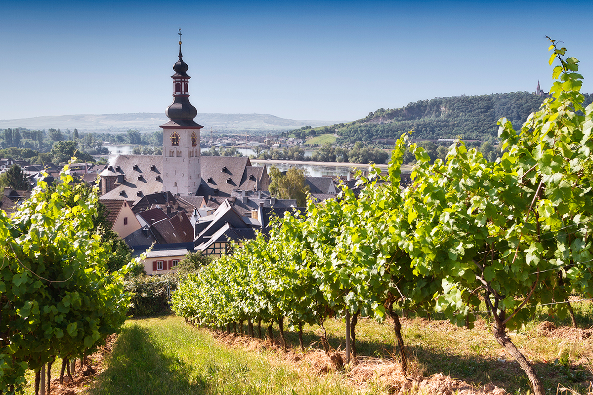 Castles and vineyards