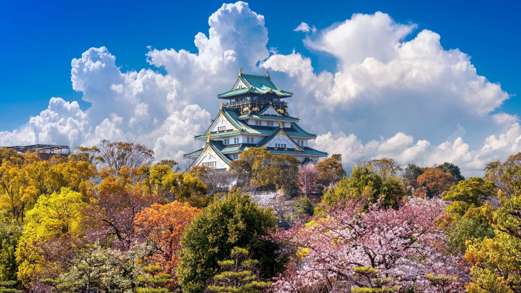 Cherry blossoms and pagoda in Japan