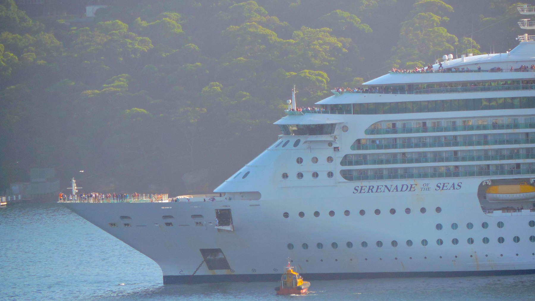 Serenade of the Seas in Sydney Harbour today on her Ultimate World Cruise