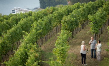 A couple enjoying a vineyard tour in Germany