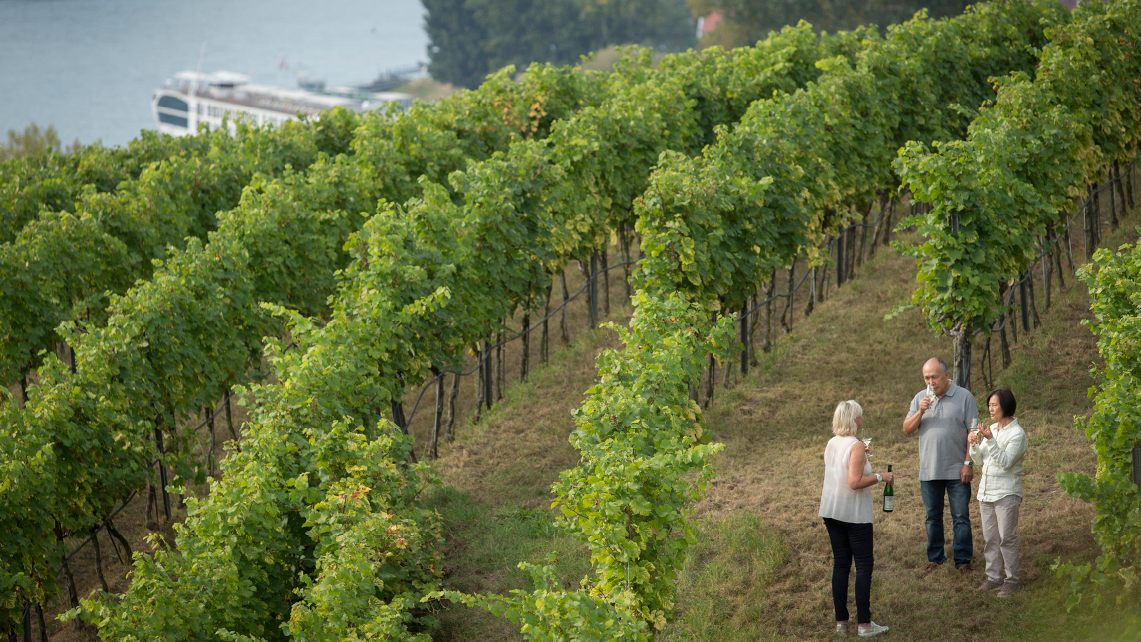 A couple enjoying a vineyard tour in Germany