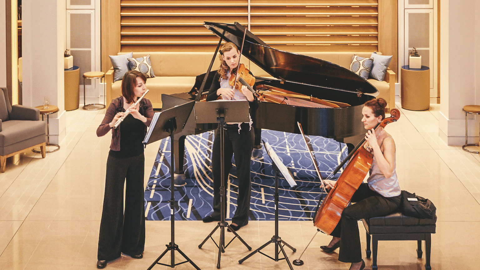 Viking Entertainment