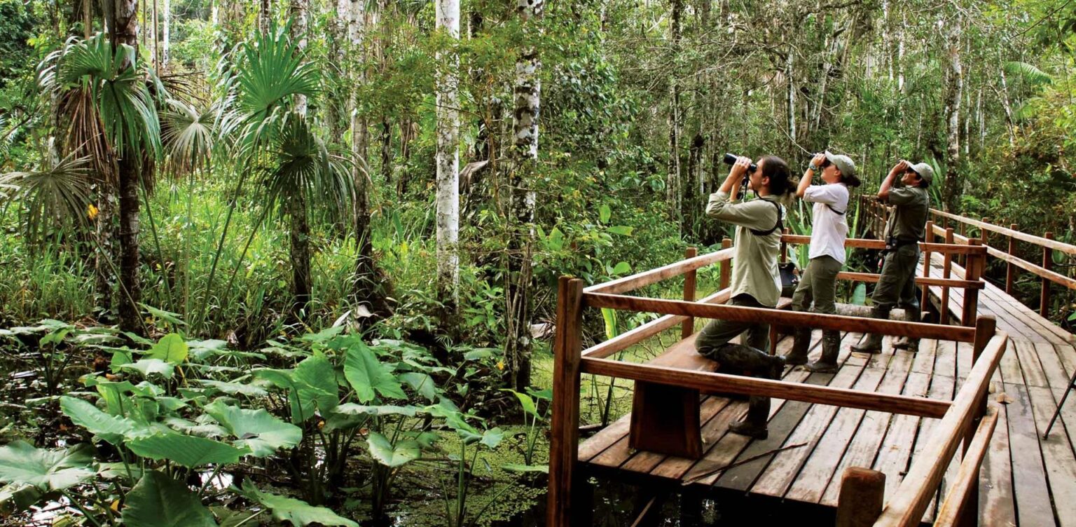 Abercrombie & Kent South America travellers looking for birds in the forest