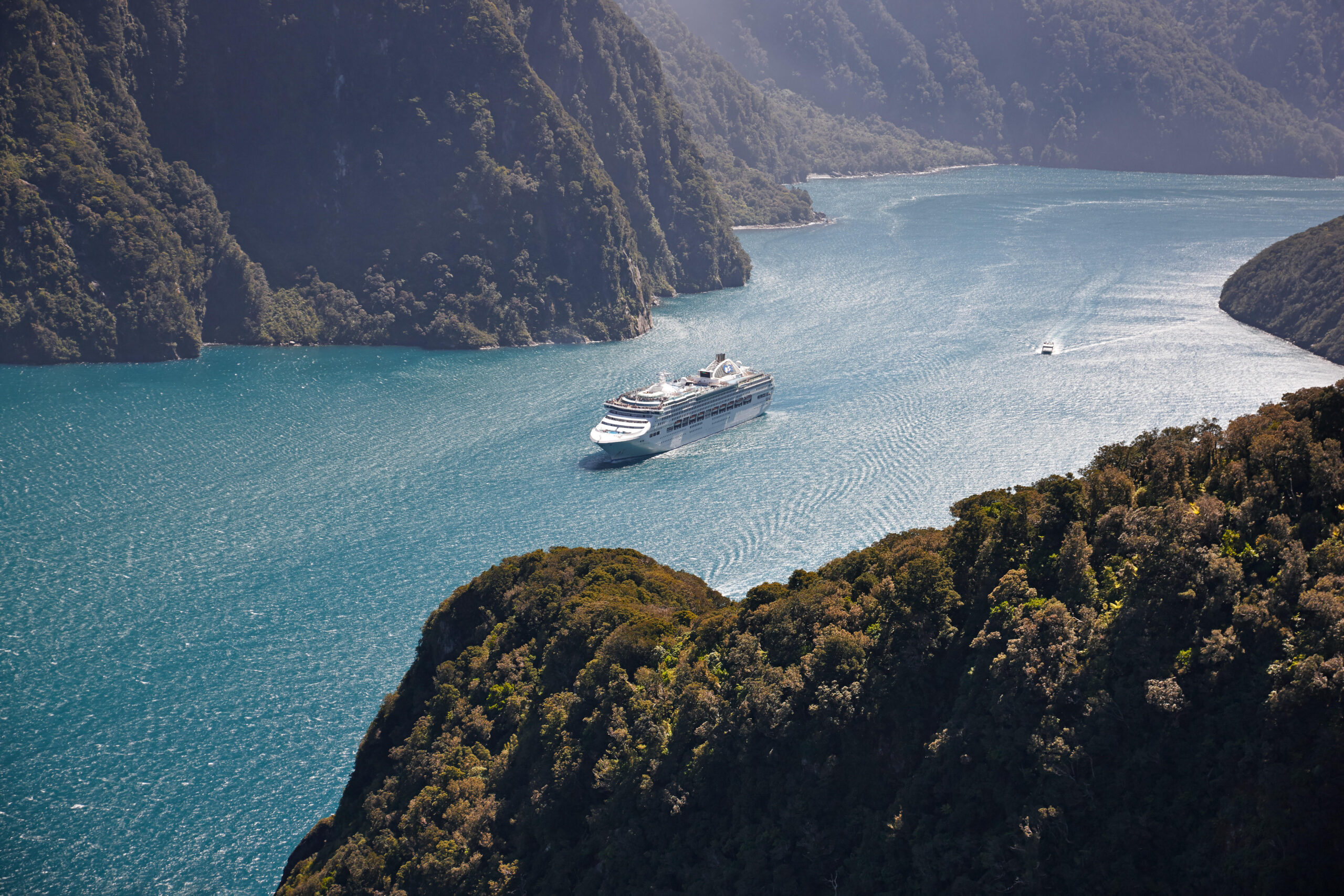 Sea Princess cruising in New Zealand fjords on the water