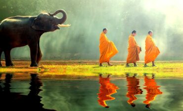 Explore Asia with the elephants and monks in Thailand.