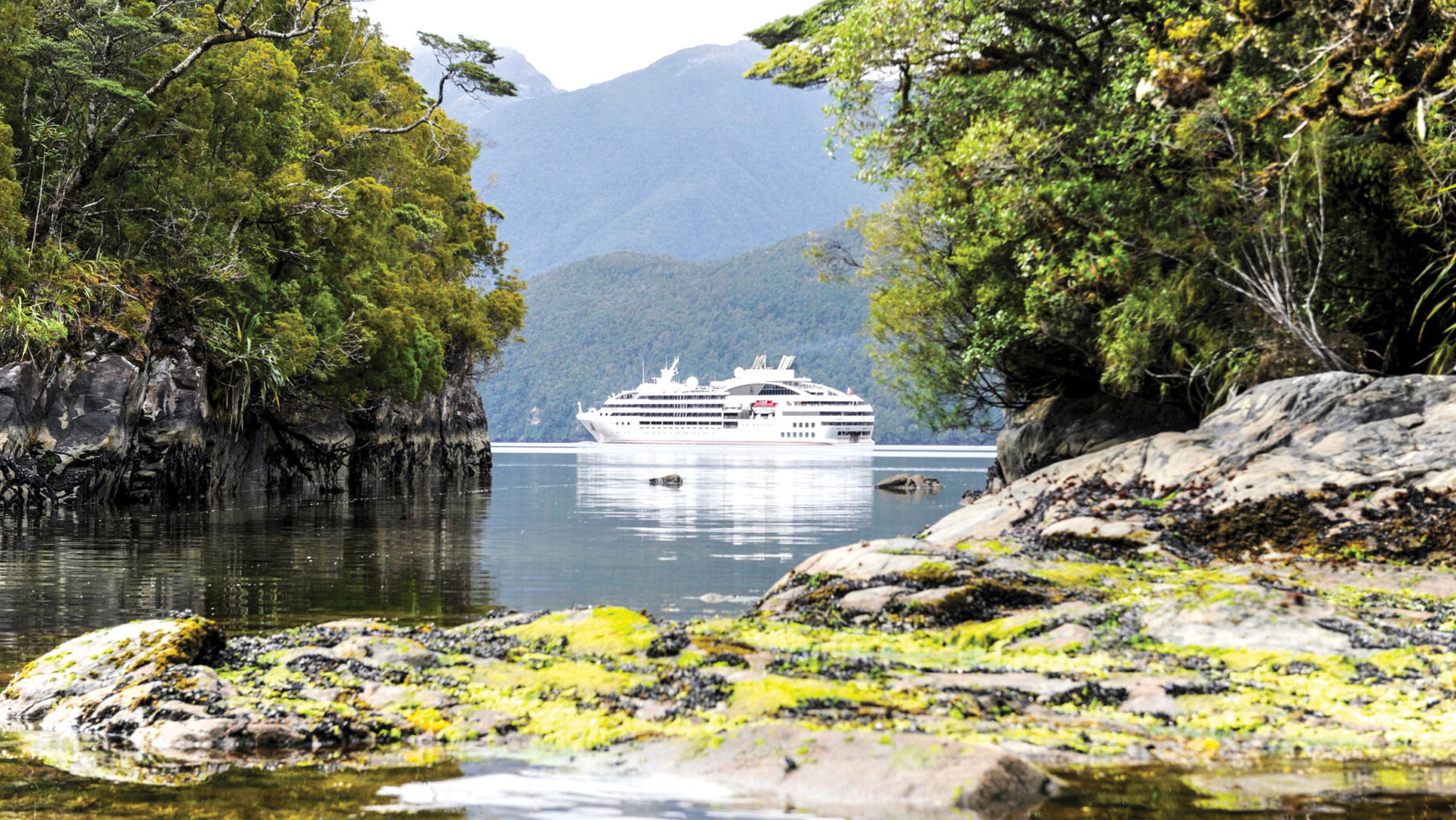 Cruise New Zealand's coast in style on board the stylish Le Soleeal