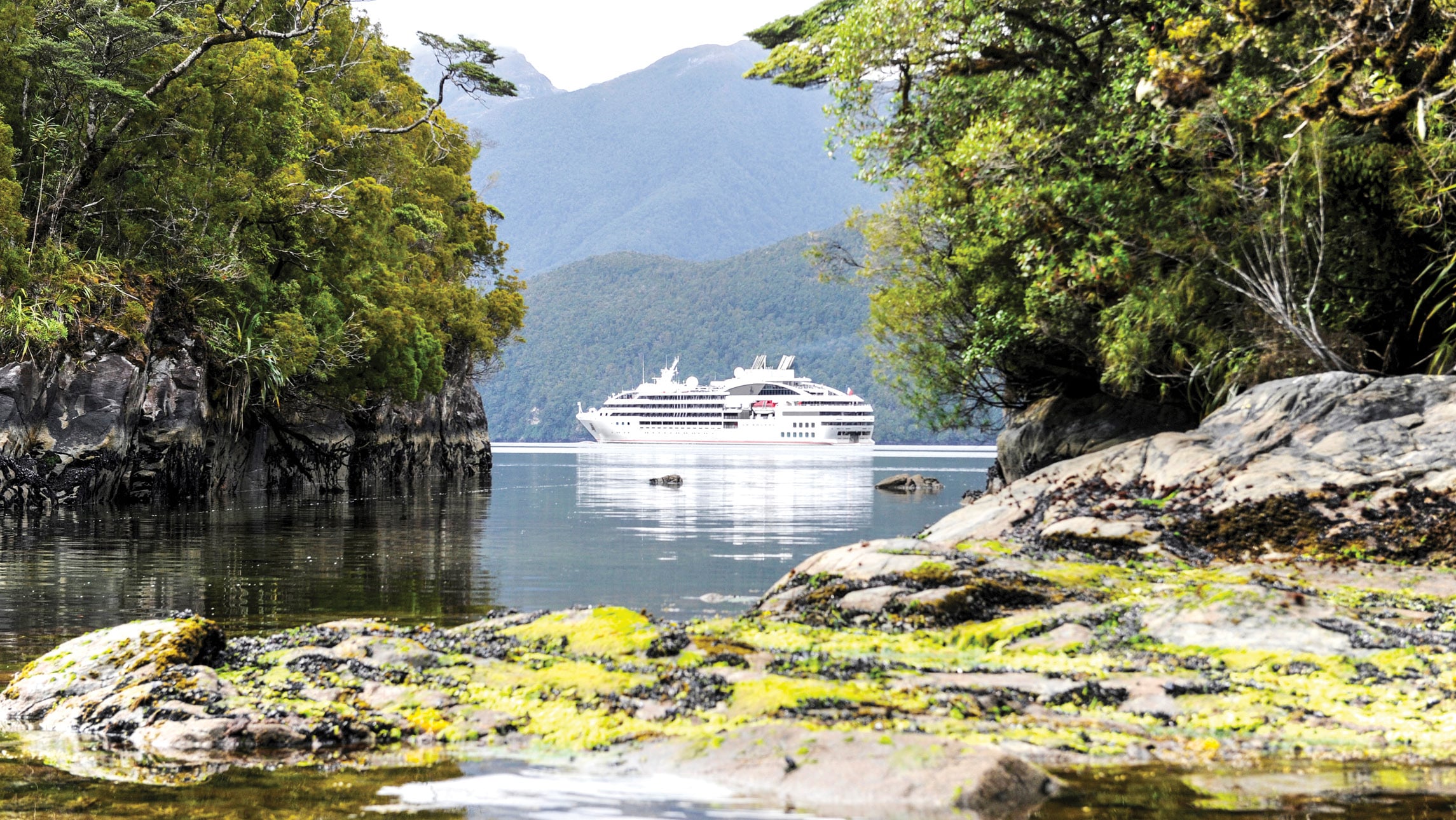 Cruise New Zealandโs coastline in style aboard the stylish Le Soleal
