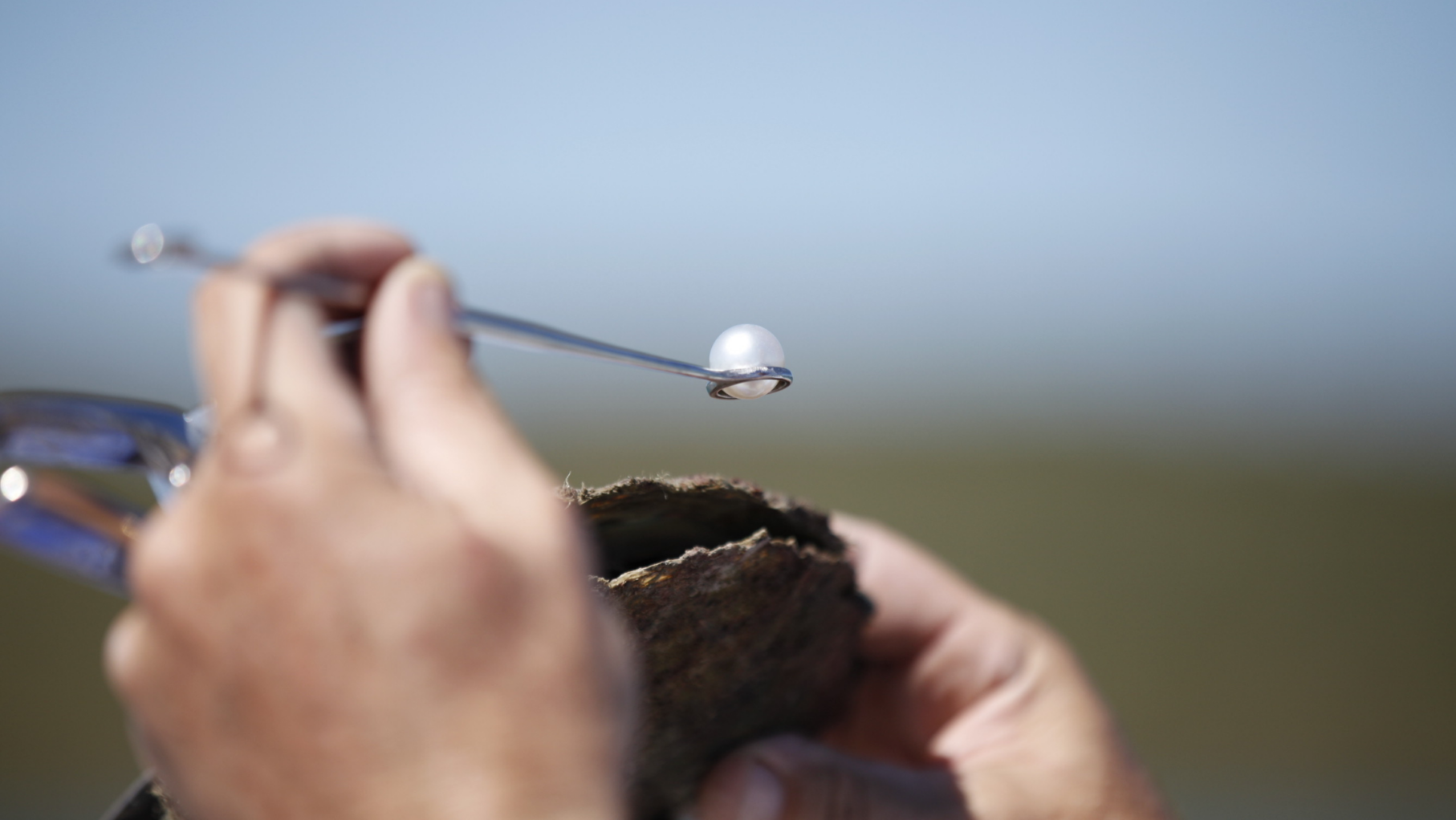 Visit a Paspaley pearl farm