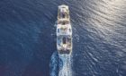 cruise sailing