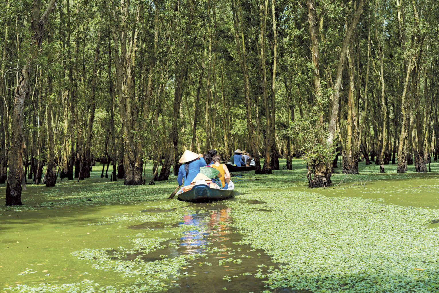 Tra Su Bird Sanctuary, Vietnam