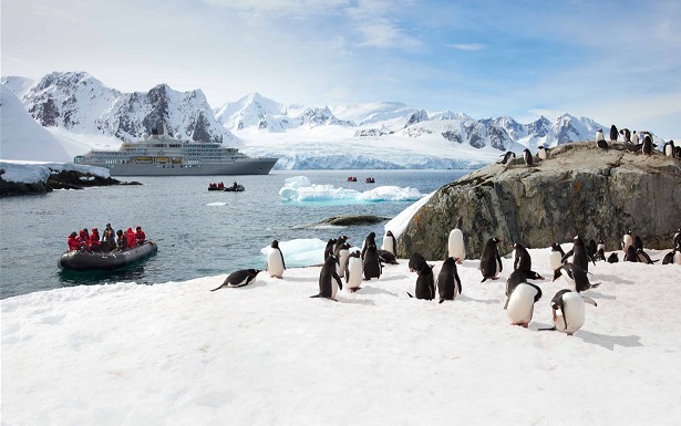 King George Island with penguins