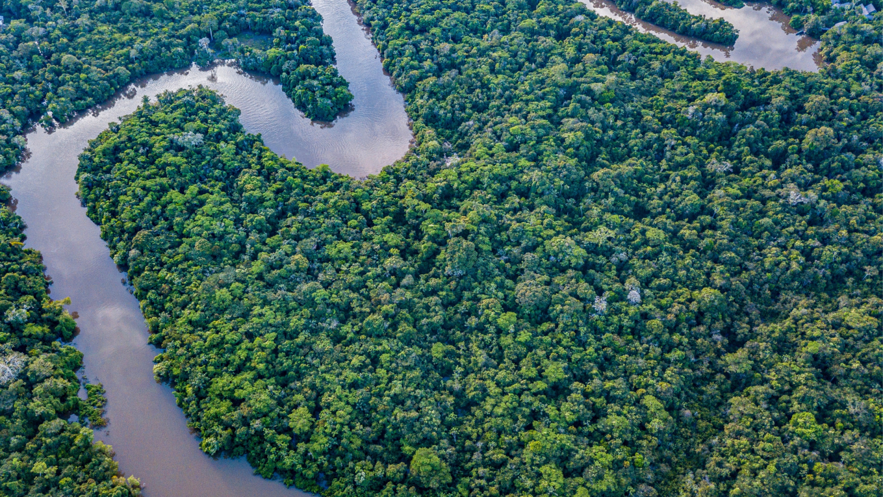 Amazon River in Peru