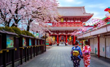 geisha women in japan with cherry blossom tree